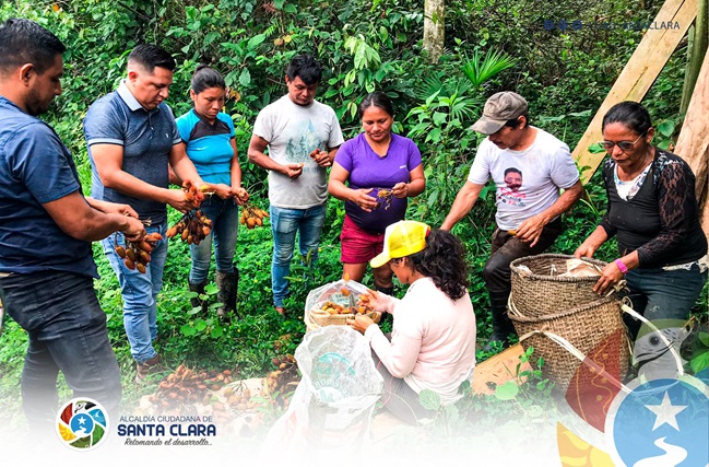 Apoyo a productores en procesos de producción y comercialización