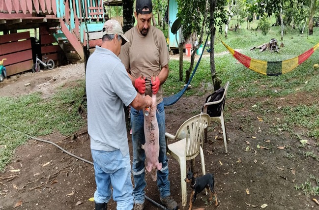 Ferias inclusivas para la economía popular y solidaria
