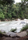 Shalipo
