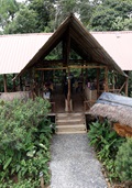 Centro Tamandua